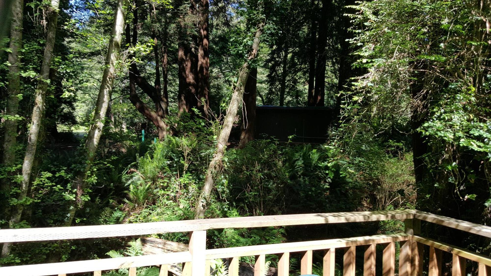 Emerald Forest Cabins Trinidad Zimmer foto