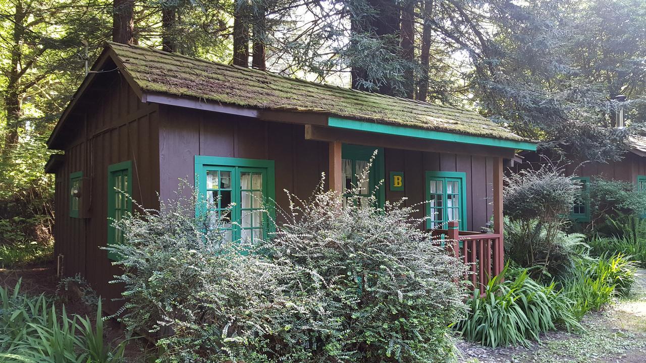 Emerald Forest Cabins Trinidad Exterior foto