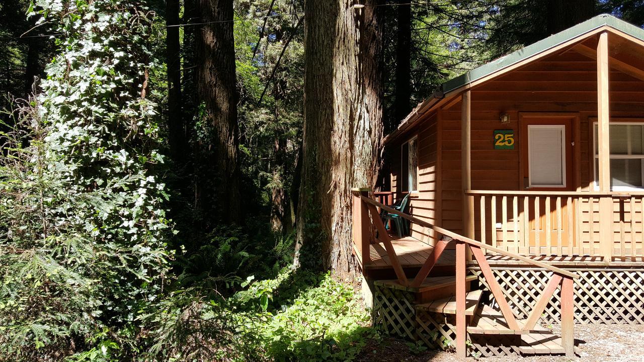 Emerald Forest Cabins Trinidad Exterior foto