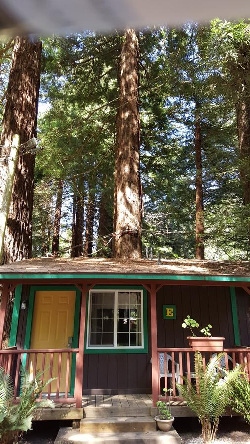 Emerald Forest Cabins Trinidad Zimmer foto