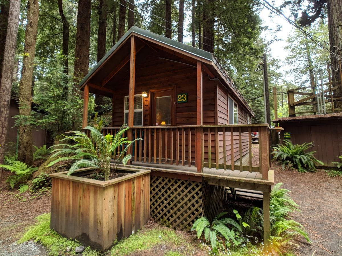 Emerald Forest Cabins Trinidad Exterior foto